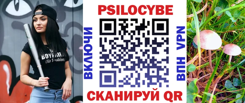 Галлюциногенные грибы мицелий Чапаевск