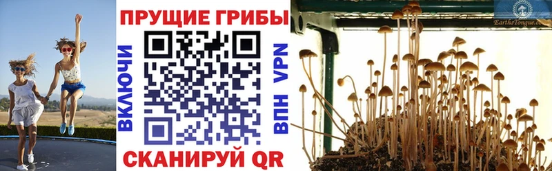 blacksprut зеркало  что такое   Чапаевск  Галлюциногенные грибы мухоморы 
