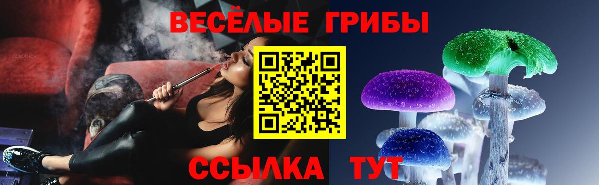 наркошоп  Вход с VPN  Чапаевск  Псилоцибиновые грибы MAGIC MUSHROOMS 
